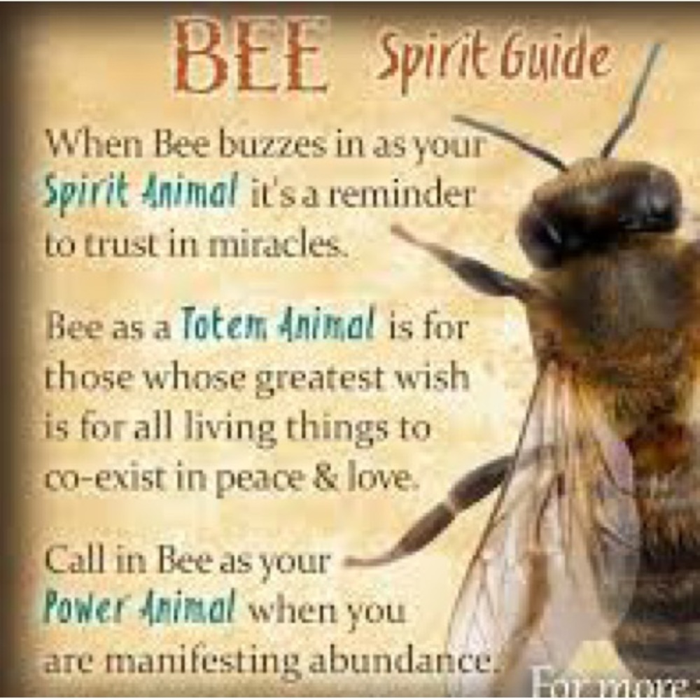 Bee 🐝. Wealth and productivity! - Picture 5 of 5
